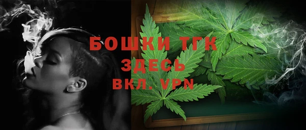 PSILOCYBIN Магас
