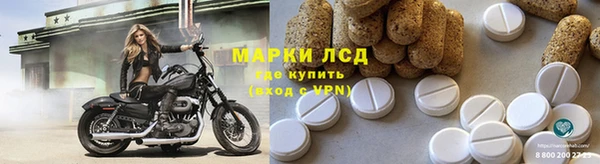 PSILOCYBIN Магас