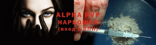 PSILOCYBIN Магас
