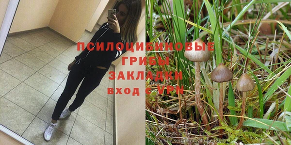 PSILOCYBIN Магас